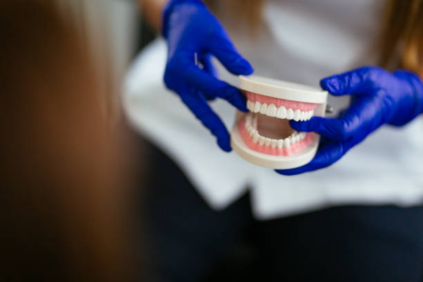 Best Preventive Dentistry  in Kingston, WA
